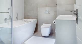 What is the Best Toilet for Flushing
